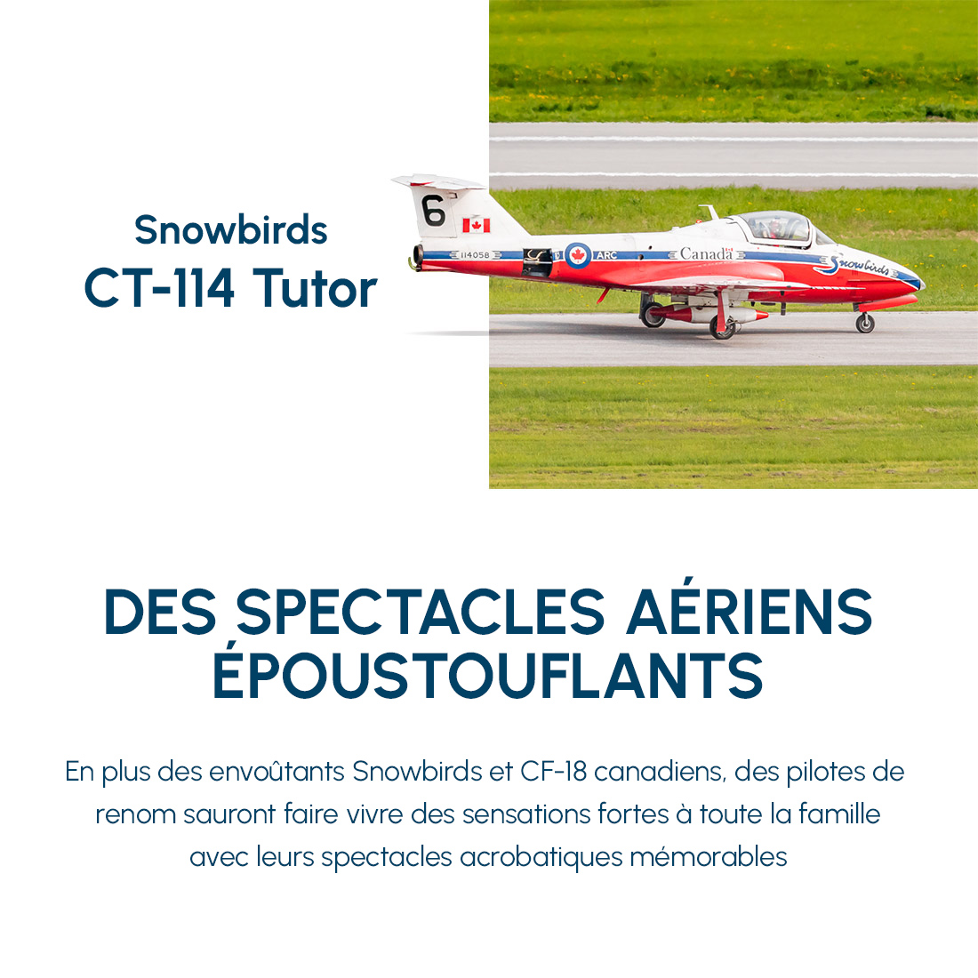 Snowbirds CT-114 tutor